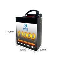 Batterie Li-ion OEM MG Factory 11000mAh 10C 14S, batteries au lithium de remplacement