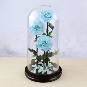 Every Love Vale Forever Preserved <strong>Roses</strong> in Glass Dome with Base for Wedding Gift Wholesale - Product Image 3