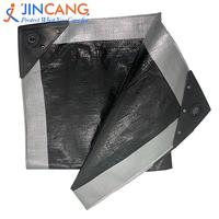 Bâche robuste imperméable à l'eau de 10 mil d'épaisseur, bâche polyvalente idéale pour tente à baldaquin, bateau, camping-car ou couverture de piscine, ombre