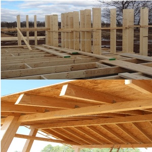 Panel <span class=keywords><strong>de</strong></span> Encofrado <span class=keywords><strong>de</strong></span> <span class=keywords><strong>Madera</strong></span> <span class=keywords><strong>de</strong></span> Abeto <span class=keywords><strong>de</strong></span> 21 mm <span class=keywords><strong>y</strong></span> 3 Capas para Concreto <span class=keywords><strong>de</strong></span> Alta Resistencia, Venta <span class=keywords><strong>de</strong></span> Fábrica - Product Image 3