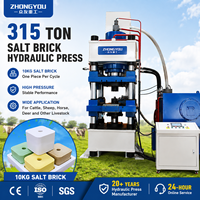 Presse hydraulique de 315 tonnes pour la fabrication de briques de sel, pour blocs de sel de 10 kg pour bovins, ovins, chevaux et cerfs
