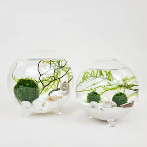 Zen Nano Java Moss Ball Terrarium Hintergrund Kit Muttertag Geschenk Garten Landschafts bau Wasserspiel Handwerk Glas Kunststoff