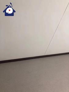 ภาชนะบรรจุแบบแบนขนาดเล็กประกอบได้อย่างรวดเร็วรูปแบบใหม่ - Product Image 5