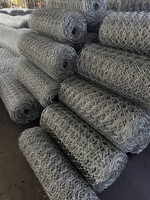 아연-알루미늄-마그네슘 코팅 개비온 메쉬 롤 2x30m 60x80mm 80x100mm 100x120mm 2.0-2.7mm 육각형 직조 강둑 경사면 보호