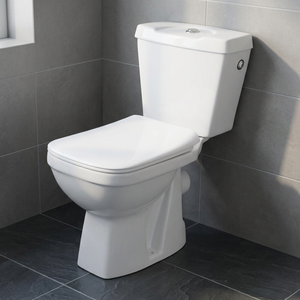 Inodoro de cerámica de dos piezas Vistaar American Square, montado en el suelo, con doble descarga, para baños. - Product Image 1
