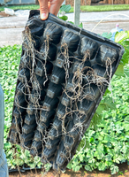 Baki Semai Benih Tugas Berat dengan Lubang Drainase, Baki Bibit Plastik Tebal yang Dapat Digunakan Kembali untuk Baki Perbanyakan Rumah Kaca/Penanaman Pembibitan
