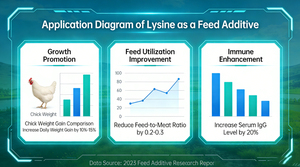 L-Lysine <span class=keywords><strong>HCL</strong></span> de haute pureté 98,5 %, qualité alimentaire, acide aminé, sulfate de lysine, booster de croissance rapide pour l'alimentation des volailles, des poulets et des porcs - Product Image 6