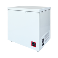 Congélateur coffre solaire DC 12V 100L 150L 200L 300L 400L 500L avec porte simple, dégivrage manuel, alimentation solaire et par batterie