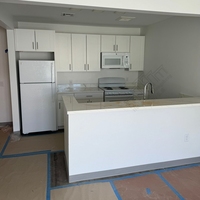 Gabinetes de Cocina al por Mayor para Remodelación de Cocinas en EE. UU., Gabinetes Americanos RTA Listos para Armar, Proyecto de Construcción de Gabinetes de Madera para Cocina