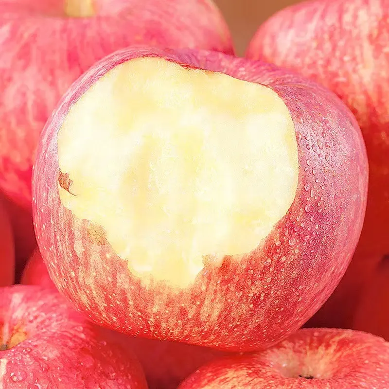 Fresco vermelho fuji maçã frutas frescas naturais fabricantes de maçãs frescas