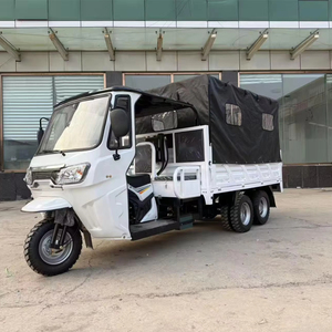 Triciclo <span class=keywords><strong>de</strong></span> Carga <span class=keywords><strong>de</strong></span> Carrocería Abierta <span class=keywords><strong>de</strong></span> Nueve <span class=keywords><strong>Ruedas</strong></span>, Motorizado, con Doble Eje Trasero, Capacidad <span class=keywords><strong>de</strong></span> Carga <span class=keywords><strong>de</strong></span> 400 kg, Velocidad <span class=keywords><strong>de</strong></span> 50-70 km/h - Product Image 1