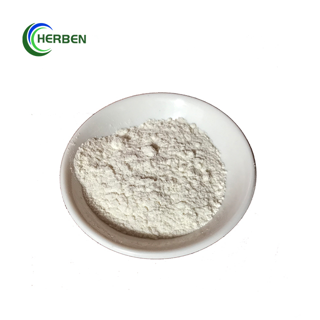 Supplier Starch Sugar Food Grade Pullulanase Enzyme