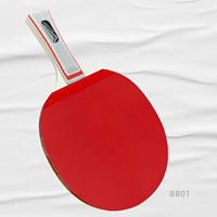 Raquette de tennis de table professionnelle en gros avec 3 étoiles lame de tennis de table de sport en caoutchouc personnalisée et économique