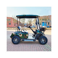 Voiturette de golf électrique professionnelle à batterie lithium, personnalisée et best-seller, 2 places, vitesse 30-50 km/h, autonomie 70-90 km