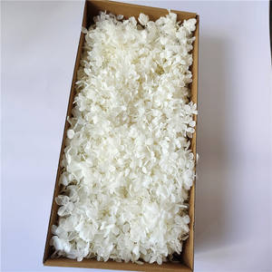 Preserved Hydrangea Flowers Hydrangea Tree Tower-shaped Medium Leaves Yunnan Christmas Bouquet DIY Materials Box Packaging - Product Image 3