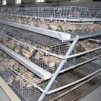 Cage de couvaison pour poussins en batterie avec machine d'alimentation automatique pour l'Érythrée