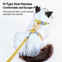 Harnais et laisse pour chat d'extérieur, gilet bleu anti-évasion pour chat, laisse de promenade pour chat, laisse pour lapin, sangle de poitrine pour animaux de compagnie