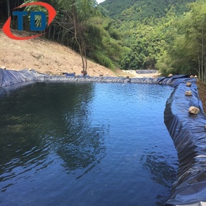 Géomembranes HDPE <span class=keywords><strong>de</strong></span> haute qualité pour <span class=keywords><strong>bassin</strong></span> à poissons <span class=keywords><strong>de</strong></span> 80 mil à vendre, 0,5 mm 0,75 mm, prix bas, géomembrane LDPE - Product Image 1