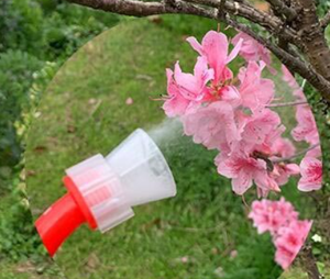Pollinateur Électrique pour Arbres Fruitiers : Pêche, <span class=keywords><strong>Poire</strong></span>, Tomate - Machine à Fertiliser les Fleurs - Product Image 2