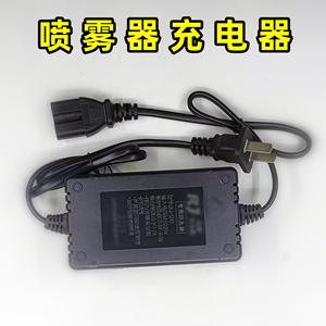 Pulverizador de Mochila Eléctrico con Cargador, Motor de Acero y Accesorios para Bidón de Pesticida para Uso Agrícola - Product Image 5