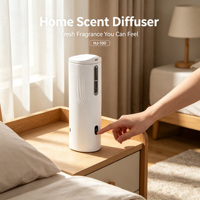 Diffuseur d'huiles essentielles sans eau 100 ml, machine à parfum biphasée, désodorisant léger pour la maison, l'hôtel et usage commercial