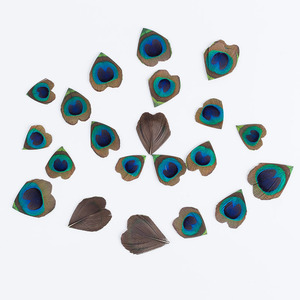 Vente en gros de plumes naturelles aux yeux de paon pour bricolage, décoration de mariage, décoration de la maison bohème, accessoires de déguisement - Product Image 5