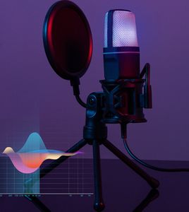 Microphone de Gaming SF-666R en Gros avec Support Trépied, Lumière RGB et Filtre pour Enregistrement Vocal et Diffusion en Direct - Product Image 4