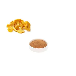 Plant Extract For Health Care Products Mushroom Extract Plant Powder Chanterelles Mushrooms