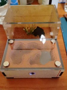 Nistkasten-Formicarium-Haus – Acryl-Ameisenzuchtnest mit 18-ml-Wasserturm, Erweiterungsanschluss & <span class=keywords><strong>Mini</strong></span>-<span class=keywords><strong>Terrarium</strong></span> für Schulwissenschaften - Product Image 3