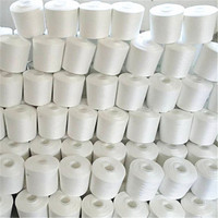 Tube canette broderie polyester brut blanc fil fil mère fils pour tricoter petit fil à coudre