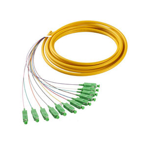 <span class=keywords><strong>12</strong></span> <span class=keywords><strong>brins</strong></span> 9/125 <span class=keywords><strong>fibre</strong></span> <span class=keywords><strong>optique</strong></span> Pigtail SC/APC <span class=keywords><strong>monomode</strong></span> <span class=keywords><strong>12</strong></span> <span class=keywords><strong>fibre</strong></span> Pigtail 1-3 mètres - Product Image 3