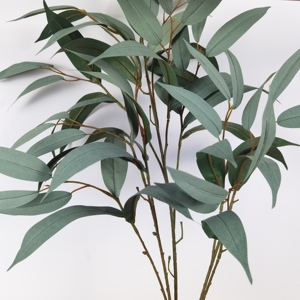 Hoja <span class=keywords><strong>de</strong></span> <span class=keywords><strong>Mango</strong></span> - Product Image 4