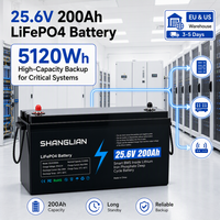 Batterie LiFePO4 25,6 V 200 Ah pour tricycle électrique, vélo électrique, lithium 5120 Wh, cycle profond avec BMS pour kit de conversion de scooter électrique