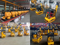 Compacteur à plaques réversible robuste 30KN, plaque épaisse de qualité industrielle pour le compactage haute efficacité du sol, de l'asphalte et du gravier