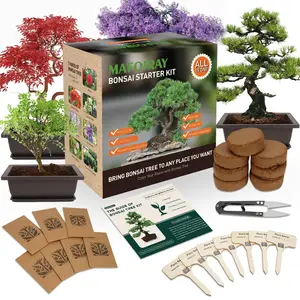 Kits de plantas personalizadas, flores, jardín fresco, regalo, bonsái, Kit de 7 árboles, Kit de plantas de etiqueta privada