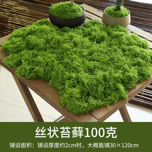 Biomimetic nhân tạo rêu cỏ cho vườn & trang trí nội thất mềm mại tự nhiên rêu nhìn nhân tạo thực vật - Product Image 5