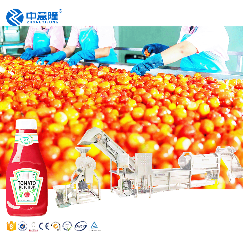 Automatic Small Tomato Paste Production Line