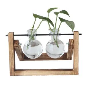 Plantes hydroponiques créatives 1 pièce, vases en bois transparents pour bureau, petits conteneurs frais, décorations modernes de salon