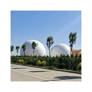 Qingdao Haiyue Biogas project equipment set small biogas compressor planta biogas kw/h