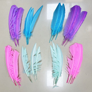 Plumes de plume de dinde teintées du fournisseur d'<span class=keywords><strong>accessoires</strong></span> de carnaval pour les plumes de chapellerie de Costumes dans des formes de nombre - Product Image 6