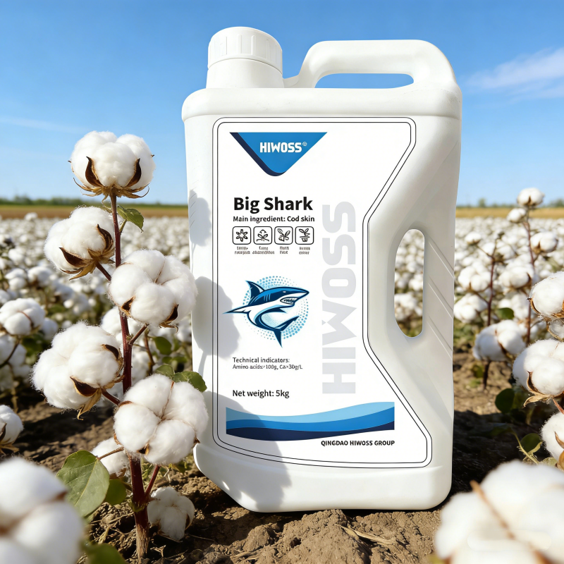 liquid fertilizer for tobacco Organic Farming Supply Big Shark Amino Acid Ca Organic Liquid Fertilizer  for Cotton & Tobacco Crops Strong Growth| Alibaba.com