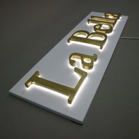 Enseigne LED Lumineuse Personnalisée en Gros, Lettres Boîtiers 3D Rétroéclairées pour Entreprises, Publicité Extérieure et Commerces