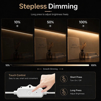 Kit Lampu LED Strip USB 5V Terlaris (Casing ABS dan Sakelar Sensor Sentuh) dengan CRI Tinggi 90, Dapat Diredupkan untuk Pencahayaan Kantor