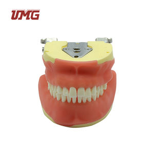 Modèle synthétique <span class=keywords><strong>de</strong></span> formation chirurgicale dentaire pour <span class=keywords><strong>la</strong></span> chirurgie buccale - Product Image 5