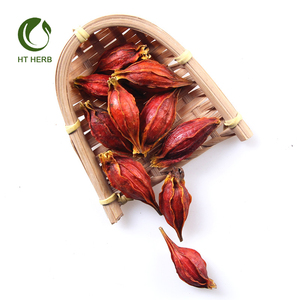 Semillas de Gardenia naturales, frutos secos - Product Image 6