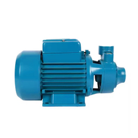 FLY OEM ODM Pompe à eau électrique la plus vendue 0,37 kW 0,5 CV en aluminium pour le pompage d'eau industriel