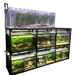 Custom, LED and Acrylic Fish Tank Rack Aquariums 