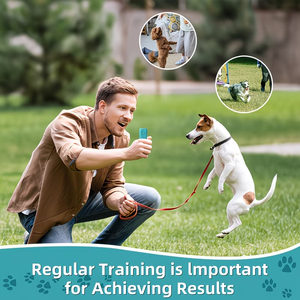 Mini dispositifs anti-aboiement ultrasoniques pour chiens d'extérieur, dispositif d'entraînement pour arrêter les aboiements, répulsif pour animaux de compagnie, anti-aboiement - Product Image 6
