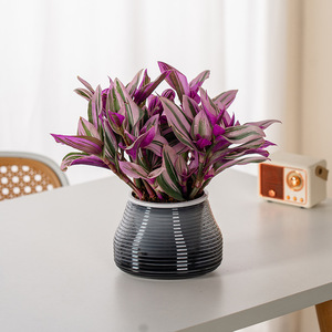 Pot <span class=keywords><strong>de</strong></span> fleurs <span class=keywords><strong>en</strong></span> plastique Meixuan, auto-absorbant, respirant, à transmission <span class=keywords><strong>de</strong></span> lumière, durable, pour la <span class=keywords><strong>culture</strong></span> hydroponique et le jardinage à domicile - Product Image 2