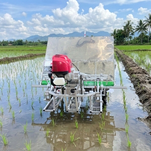 Agricultural Machinery OEM Supplier High Efficiency 4 <b>Row</b> 18cm Hand Push Precision Planting <b>Machine</b> Competitive Price - Product Image 1